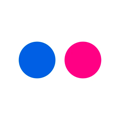 Flickr Photos